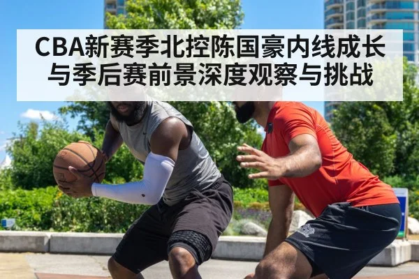 CBA新赛季北控陈国豪内线成长与季后赛前景深度观察与挑战