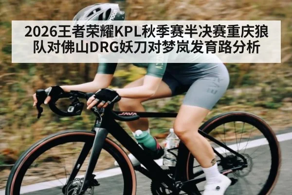 2026王者荣耀KPL秋季赛半决赛重庆狼队对佛山DRG妖刀对梦岚发育路分析